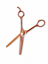 CT6538 -2 W